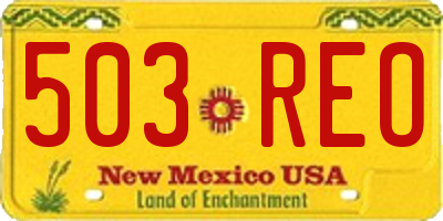 NM license plate 503REO