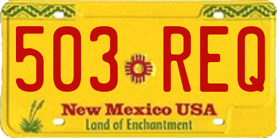 NM license plate 503REQ