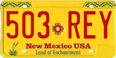 NM license plate 503REY