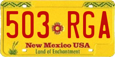 NM license plate 503RGA