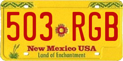 NM license plate 503RGB