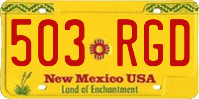NM license plate 503RGD