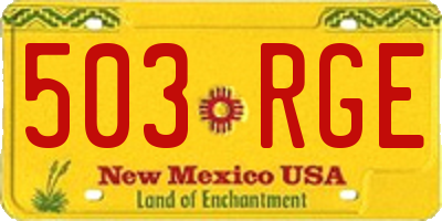 NM license plate 503RGE