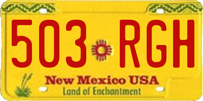 NM license plate 503RGH