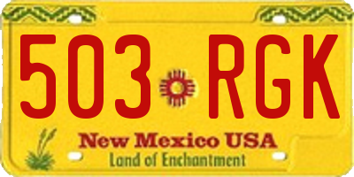 NM license plate 503RGK
