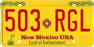 NM license plate 503RGL