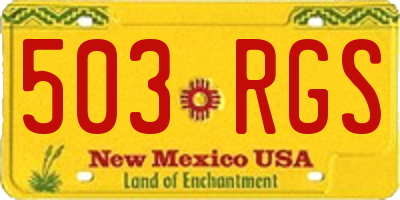 NM license plate 503RGS
