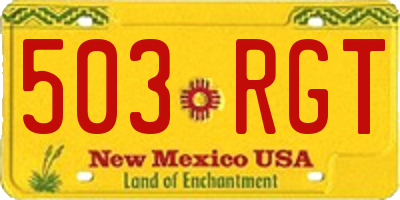 NM license plate 503RGT