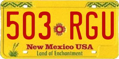NM license plate 503RGU