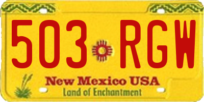 NM license plate 503RGW