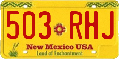 NM license plate 503RHJ