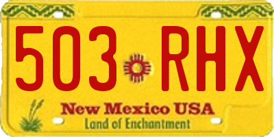 NM license plate 503RHX