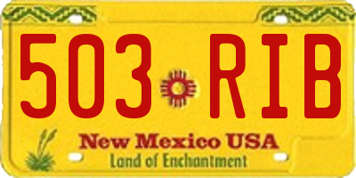 NM license plate 503RIB