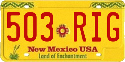 NM license plate 503RIG