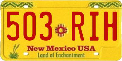 NM license plate 503RIH