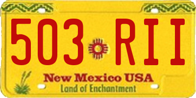 NM license plate 503RII