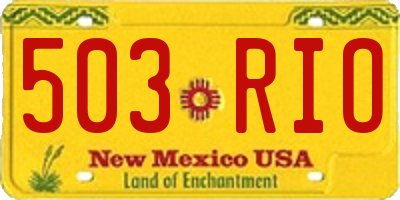 NM license plate 503RIO