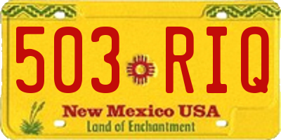 NM license plate 503RIQ
