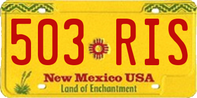 NM license plate 503RIS