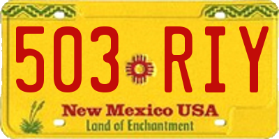 NM license plate 503RIY