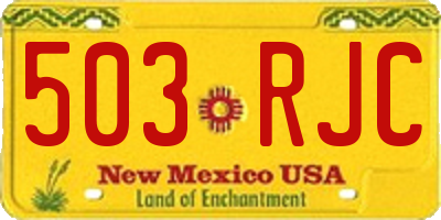 NM license plate 503RJC