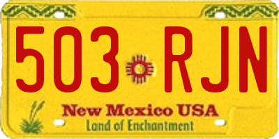 NM license plate 503RJN
