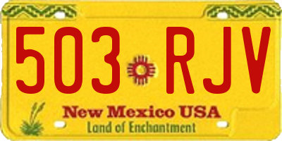 NM license plate 503RJV