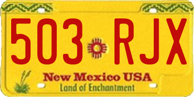NM license plate 503RJX