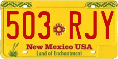 NM license plate 503RJY