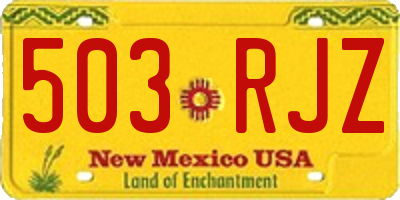 NM license plate 503RJZ