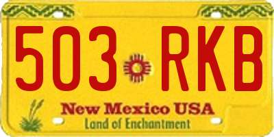 NM license plate 503RKB