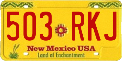 NM license plate 503RKJ