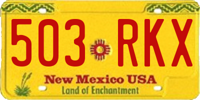NM license plate 503RKX