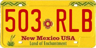 NM license plate 503RLB