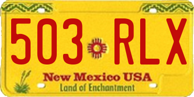 NM license plate 503RLX