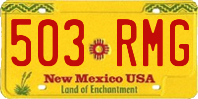 NM license plate 503RMG