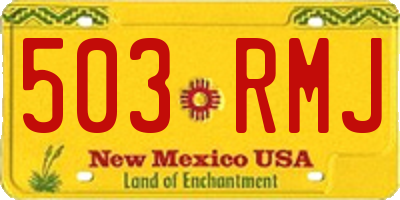 NM license plate 503RMJ