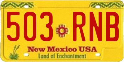 NM license plate 503RNB