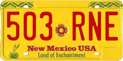 NM license plate 503RNE