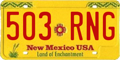 NM license plate 503RNG