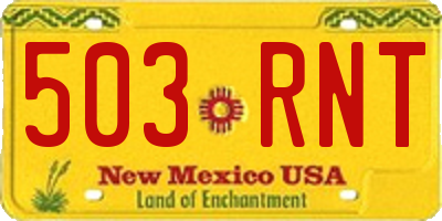 NM license plate 503RNT