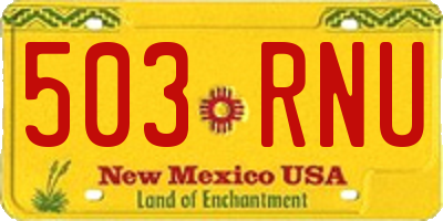 NM license plate 503RNU