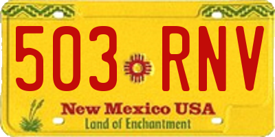 NM license plate 503RNV