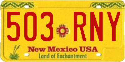 NM license plate 503RNY