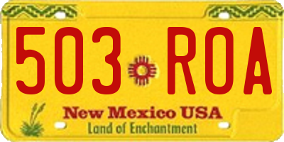 NM license plate 503ROA
