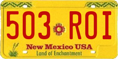 NM license plate 503ROI