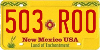NM license plate 503ROO