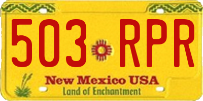 NM license plate 503RPR