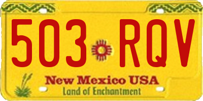 NM license plate 503RQV