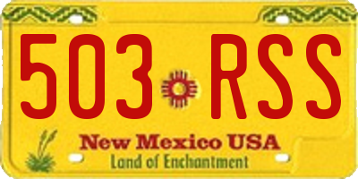 NM license plate 503RSS